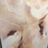 Sepia Textured Canvas