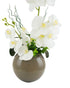 Grey Round Vase Orchid Display