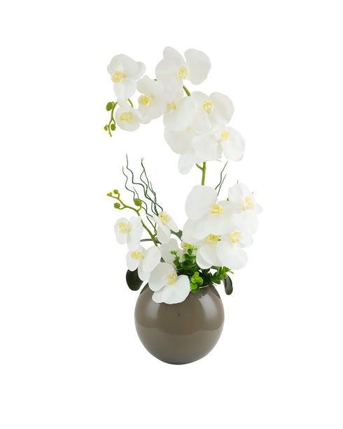 Grey Round Vase Orchid Display