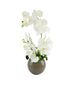 Grey Round Vase Orchid Display