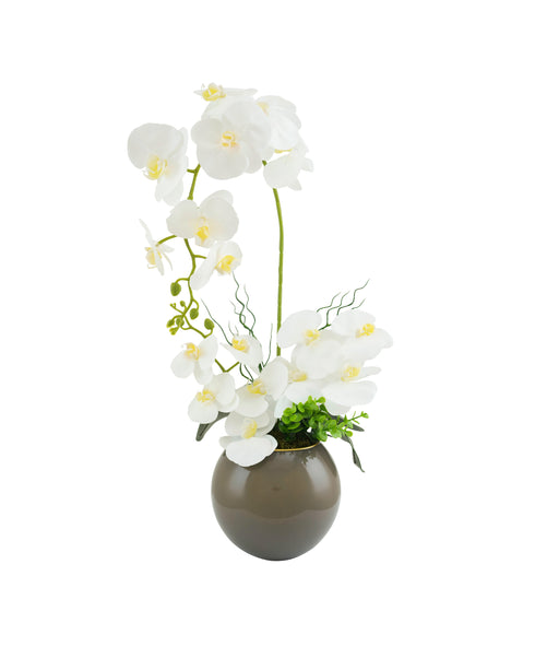 Grey Round Vase Orchid Display
