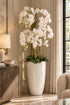 Floor Standing Orchid In Ceramic Planter