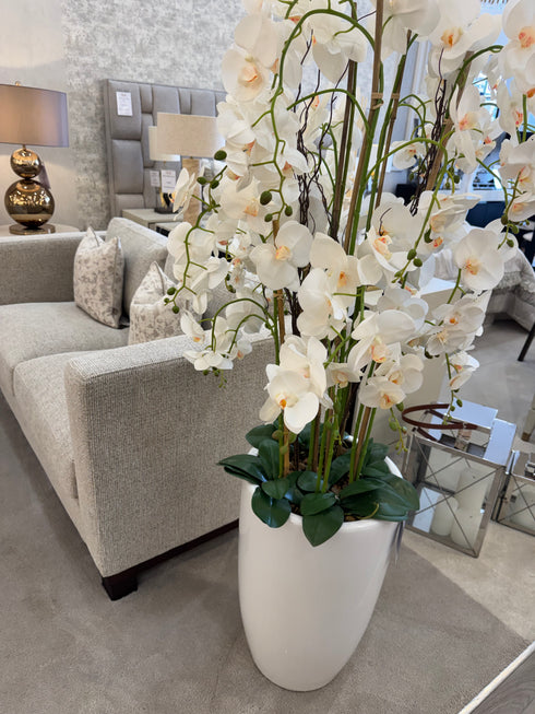Floor Standing Orchid In Ceramic Planter
