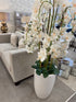 Floor Standing Orchid In Ceramic Planter