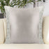 Chloe Grey Silk Cushion