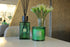 Sences Citrus Alang Verbana Medium Diffuser