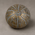 Oriana Orb