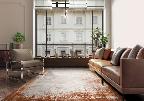 Lyza Rug Border Terracotta Rug