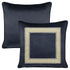 Parisian Black Velvet Cushion