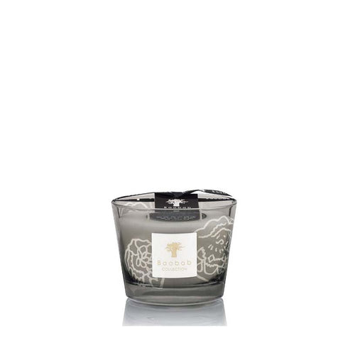 Baobab Collectible Roses Grey