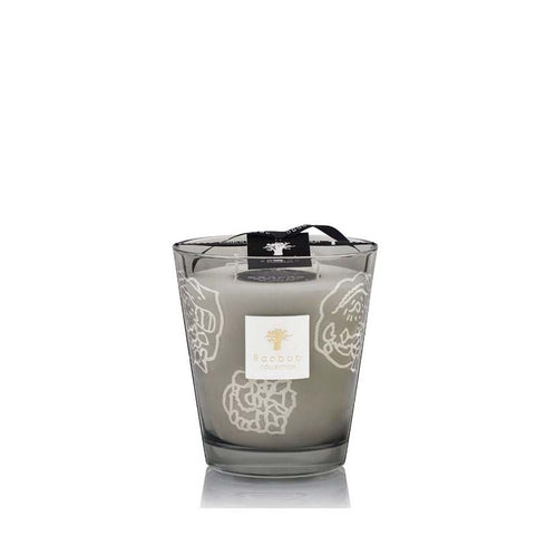 Baobab Collectible Roses Grey