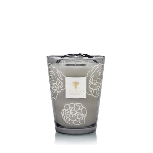 Baobab Collectible Roses Grey