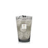 Baobab Collectible Roses Grey