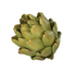Green Faux Artichoke Decorative Heads