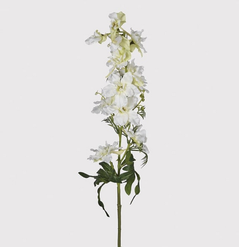 White Delphinium Spray