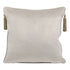 Willow Latte Velvet Cushion