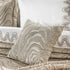 PRE ORDER Alley Cream Duvet Set