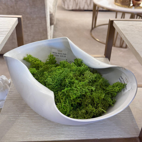 Bag of Real Green Moss