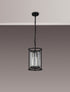 Mano Pendant / Semi Ceiling Convertible 1 Light