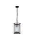 Mano Pendant / Semi Ceiling Convertible 1 Light
