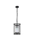 Mano Pendant / Semi Ceiling Convertible 1 Light