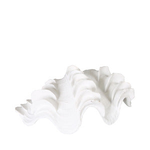 White Shell Decoration