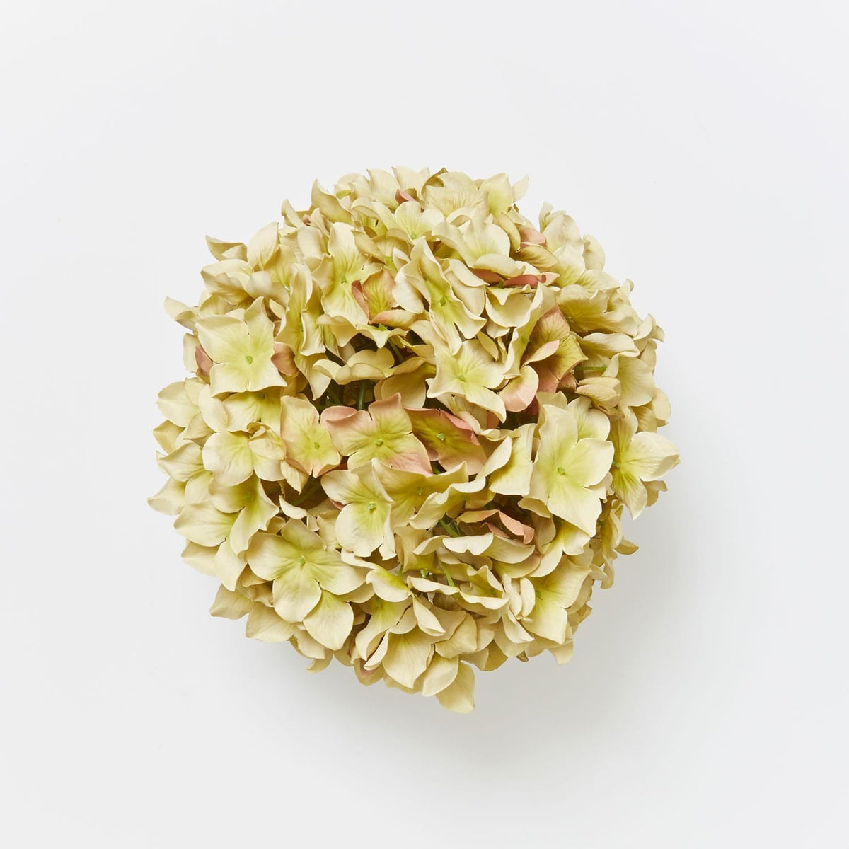 Large Round Hydrangea - Green – My Home Rocks